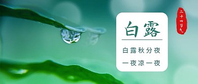 千库编辑原创二十四节气露珠绿色渐变公众号首图