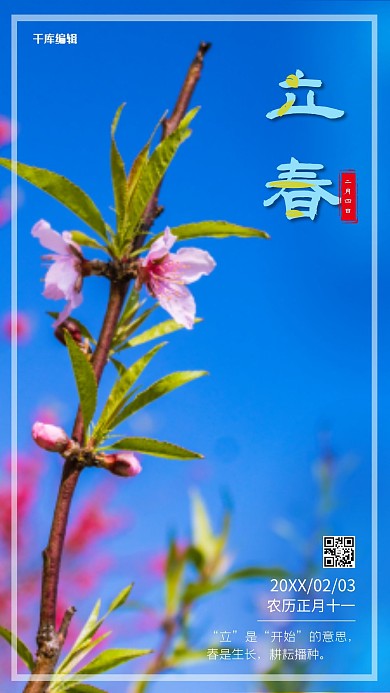 立春树枝蓝色摄影海报