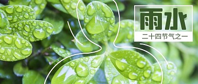 雨水叶子绿色写实公众号首图