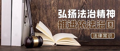 世界法律日摄影图褐色商务风公众号首图