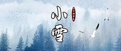 小雪飞鸟白色古风公众号首图