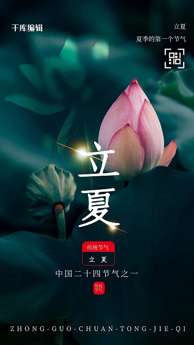 立夏荷花写实摄影合成海报