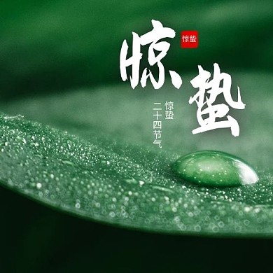 惊蛰雨中叶子绿色摄影风公众号次图