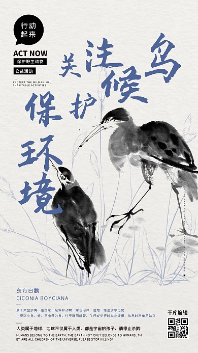 公益保护动物鸟类蓝色水墨风海报