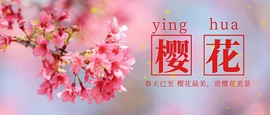樱花季樱花红色摄影简洁公众号首图