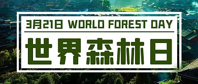 世界森林日森林树林绿色简约公众号首图