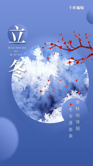 立冬雪花 梅花蓝色简约 清新海报