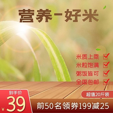 食品五谷杂粮东北大米小米主图模板