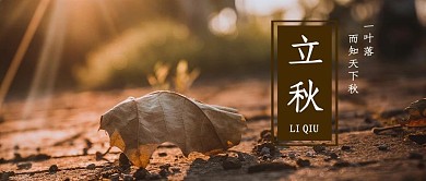 秋天落叶黄色摄影风公众号首图