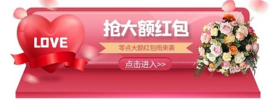 节日大促 狂欢 优惠券 促销胶囊图banner
