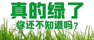 绿字草绿色简约基金韭菜公众号首图