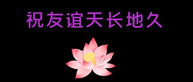 友谊天长地久老年风荷花黑色公众号首图