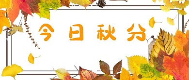 秋分唯美的秋天银杏叶纷飞公众号首图