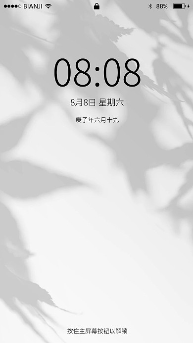 创意树枝阴影高清背景