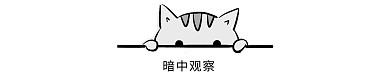 猫咪暗中观察表情包免扣png