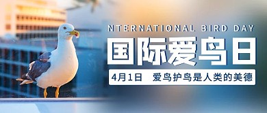国际爱鸟日爱护鸟类蓝色简约公众号首图