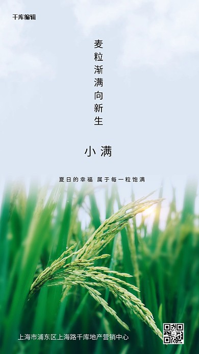 小满小麦绿色写实海报
