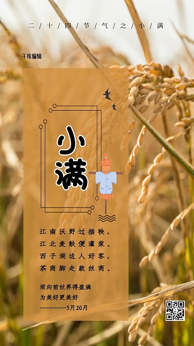 小满节气黄色简洁海报