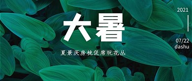 大暑叶子绿色中国风公众号首图