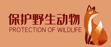 保护珍稀野生动物狐狸红色卡通公众号首图
