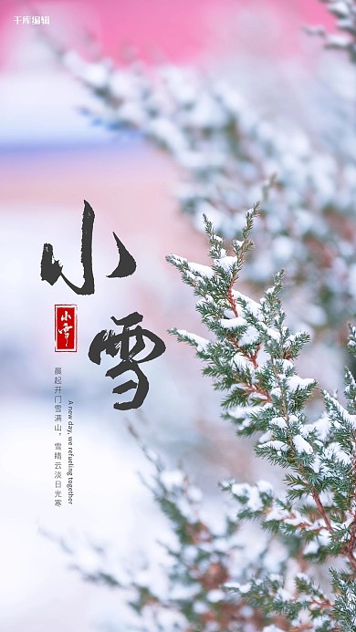 二十四节气小雪白色大气摄影图海报