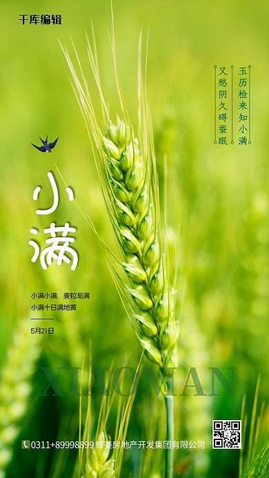 小满节气绿色清新大气海报