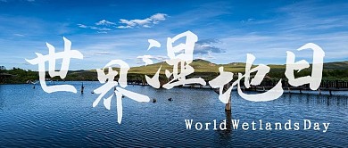 世界湿地日湿地蓝色简约公众号首图