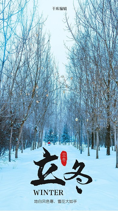 立冬雪天蓝色大气摄影图海报