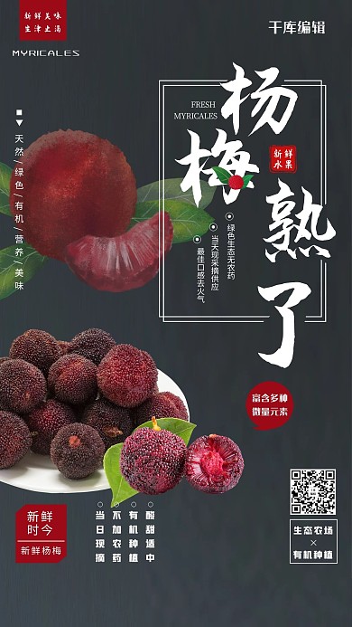 杨梅新鲜杨梅暗灰色大气简约海报