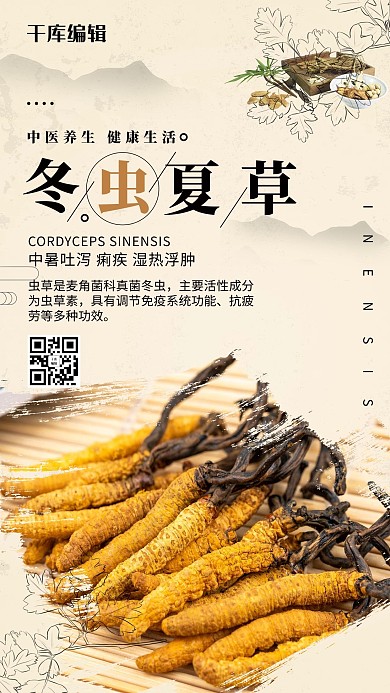 保健品冬虫夏草典雅养生海报