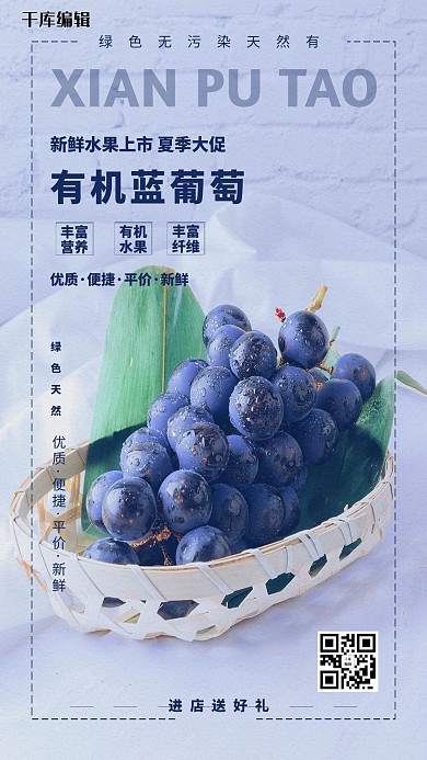 水果促销蓝莓蓝色简约海报