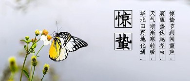 惊蛰节气灰色简约公众号首图