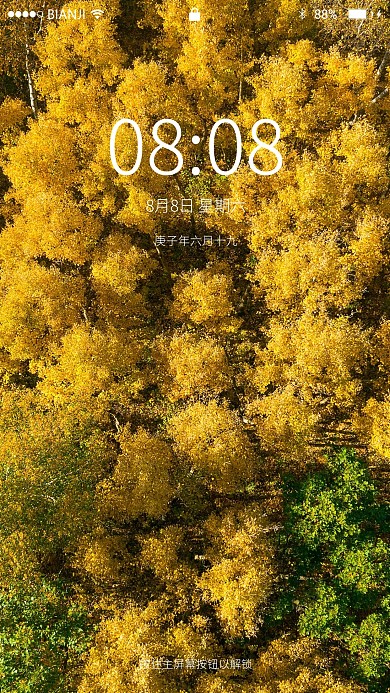 航拍秋季黄绿相间的特色森林