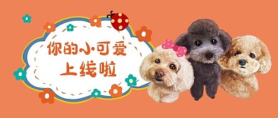 小可爱上线啦可爱狗狗可爱公众号首图