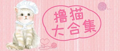 粉色可爱猫咪撸猫大合集公众号
