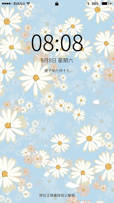 夏日清新雏菊花卉底纹平铺背景