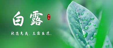千库编辑原创白露绿叶露珠绿色简约风公众号首图