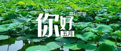 五月你好摄影风五月你好绿色摄影公众号首图