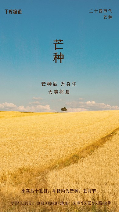 二十四节气芒种黄色简约海报