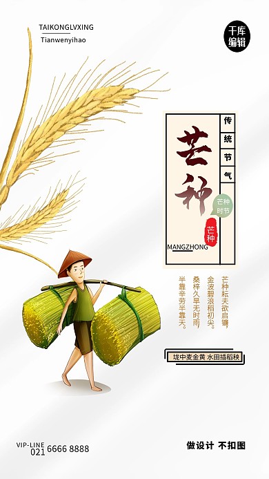 芒种小麦灰色创意海报