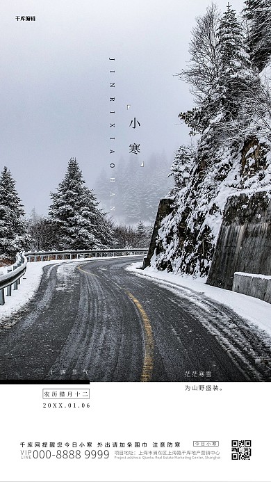 小寒雪景照片白色写实海报
