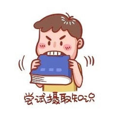尝试摄取知识表情包