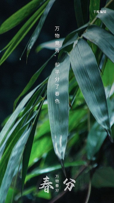 春分绿叶绿色写实海报