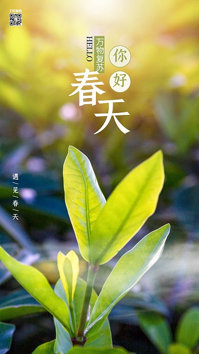 春天你好植物黄色简约海报