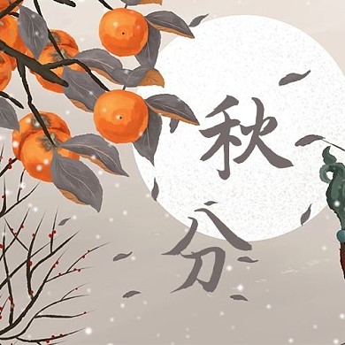 24节气秋天秋分柿子灰色卡通插画公众号次图