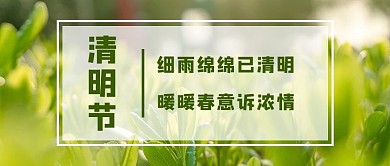 清明节诗歌绿色文艺小清新公众号首图