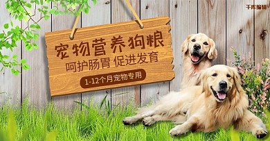 宠物用品绿色简约电商banner