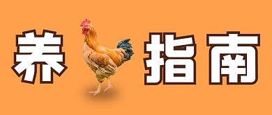 基金指南橙色创意公众号首图
