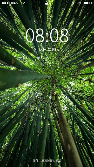 春天竹林仰拍自然风景手机壁纸