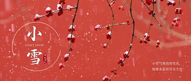 小雪节气梅花红色摄影实景公众号首图